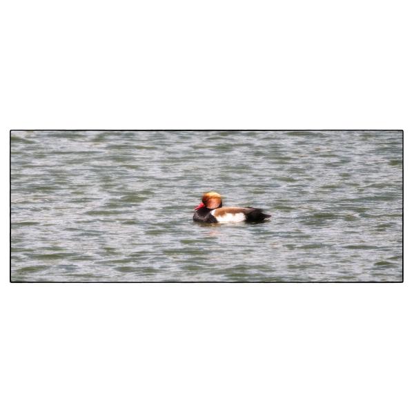 PHOTO84, CLUB, 84 , LUBERON